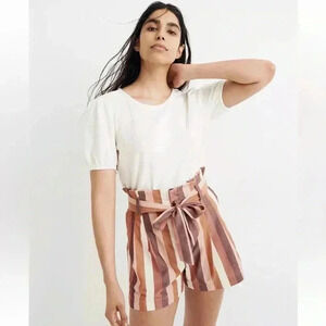 Madewell Paperbag Shorts in Rainbow Stripe Sz 2